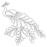 rea peacock